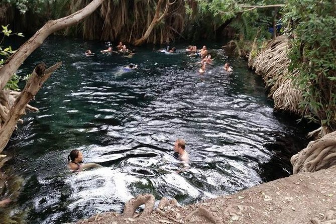 Kikuletwa (Chemka) Hot Springs Day Tour - Lunch and what the $90 price really buys