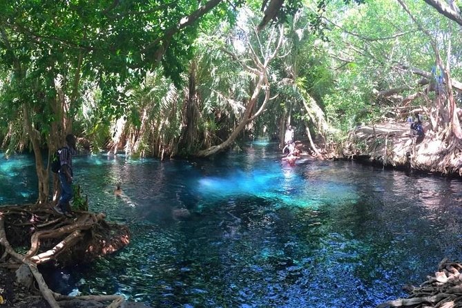 Kikuletwa Hot Spring Day Tour - A swimming afternoon with rope swings and tires