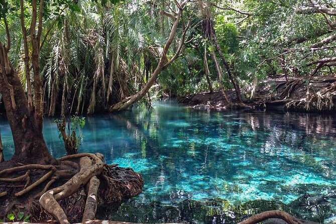 Kikuletwa Hot spring - The 10:00 am start at Arusha Clock Tower