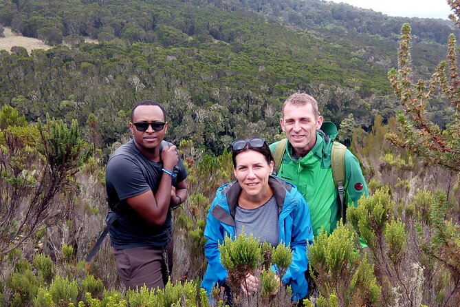 Kilimanjaro 1 Day Hike - What the Marangu Route day hike really gives you