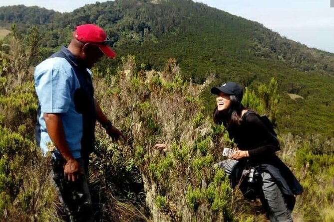 Kilimanjaro 1 Day Hike - Climbing through the montane forest