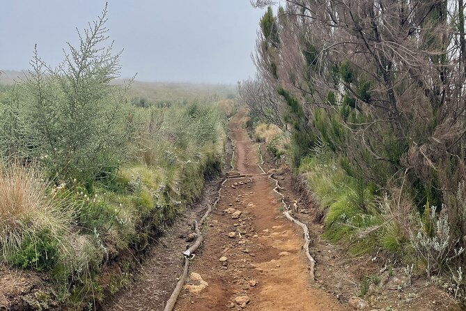 Kilimanjaro 1 Day Hike - Who will enjoy this Kilimanjaro day trip