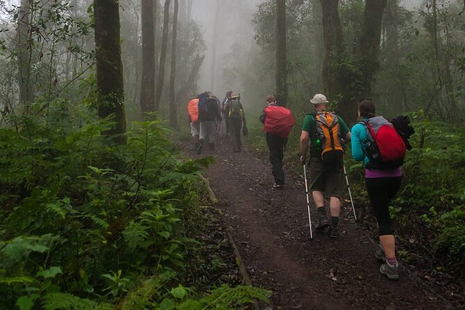 Kilimanjaro 1 Day Hike - Practical planning for a better day