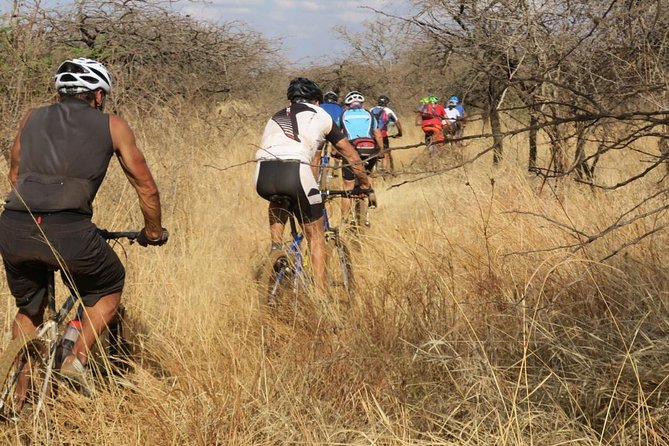 Kilimanjaro 360 - Day 2: From Chagga farms to Maasai country