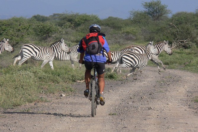 Kilimanjaro 360 - Day 3: Elephants, acacias, and Simba Farm