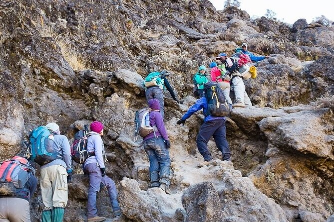 Kilimanjaro 7 Day Private Trekking Experience - Day six, Uhuru Peak and the long descent