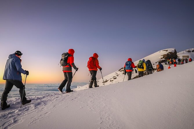 Kilimanjaro 7 Days Machame Route Private Tour - Day 7: Uhuru Peak and the longest day