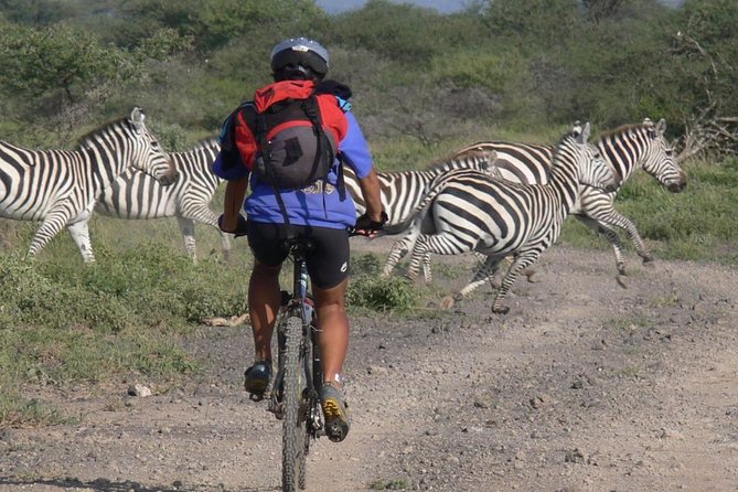 Kilimanjaro bike park safari - Why a Bicycle Changes the Safari