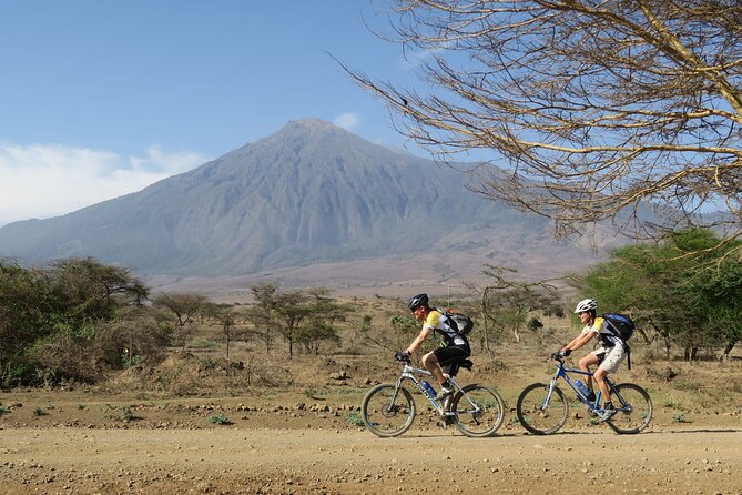Kilimanjaro bike park safari - Wildlife Encounters Without a Glass Window