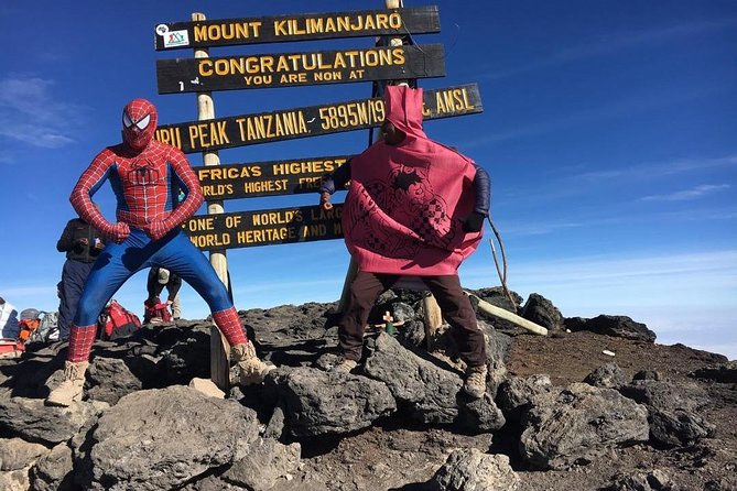 Kilimanjaro Climb - 6 Days Marangu Route - Day 2: Mandara to Horombo across the moorland