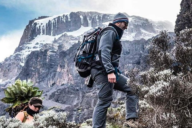 Kilimanjaro Climb - 7 Days Machame Route - Day 3: Shira Camp, Lava Tower, and Barranco Camp