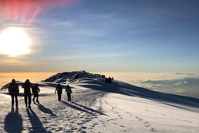 Kilimanjaro Climb - 7 Days Machame Route - Day 5: Karanga Camp to Barafu Camp