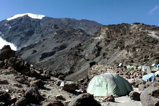 Kilimanjaro Climb - 7 Days Machame Route - Day 7: Mweka Camp to Moshi