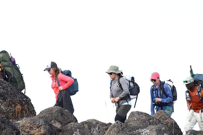 Kilimanjaro Climb- 8 Days Lemosho Route - Your first nights in Moshi