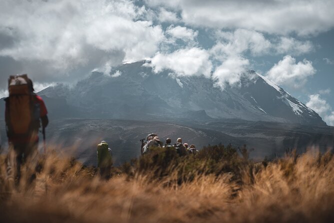 Kilimanjaro climb by Lemosho Route (7-day) - Day 3: Shira 1, Shira 2, and Lava Tower acclimatization