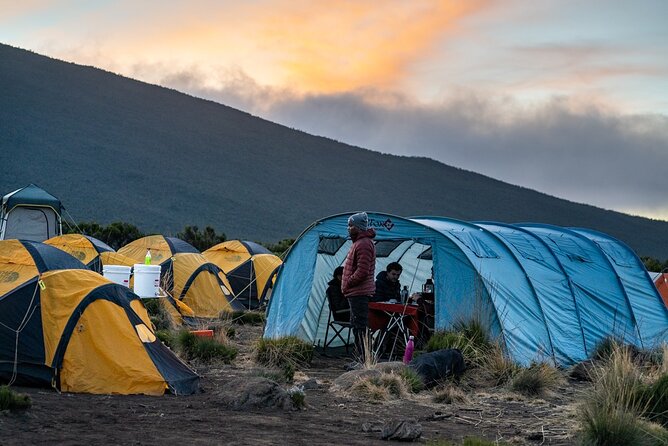 Kilimanjaro climb by Lemosho Route (7-day) - Arrival in Moshi and the first night