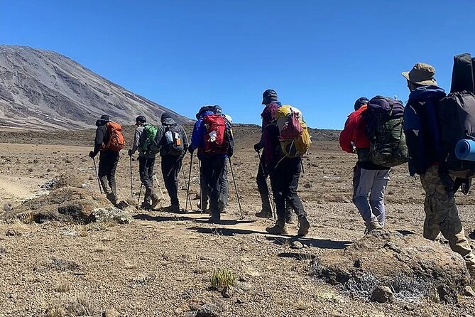 Kilimanjaro Climb by Rongai Route 6 days - Arrival in Moshi and the first hotel night