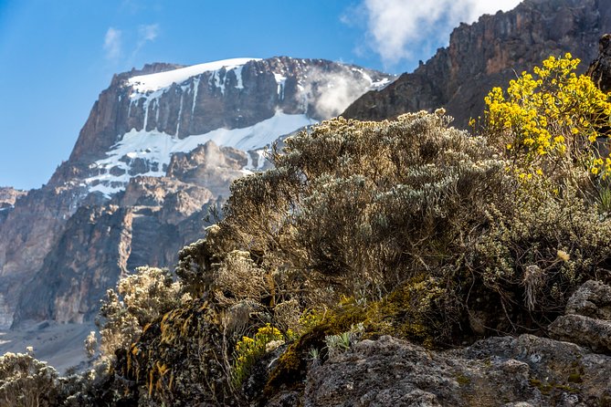 Kilimanjaro climb, Kilimanjaro Crater route (10-day) - Day 5: Around the northern slopes