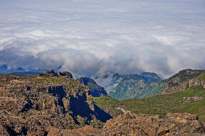 Kilimanjaro climb, Kilimanjaro Crater route (10-day) - Day 2: Londorossi Gate and the first Shira views
