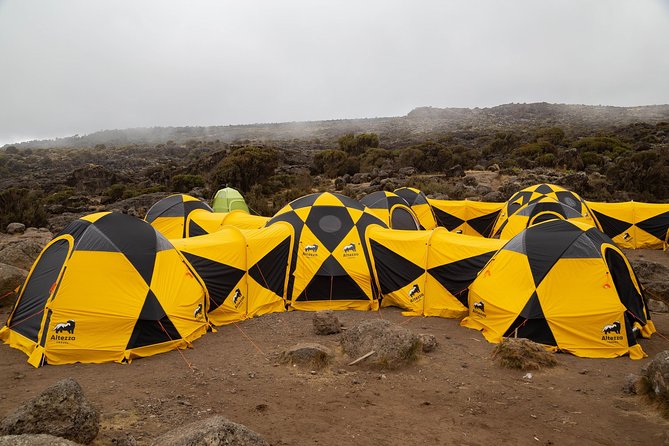 Kilimanjaro climb, Lemosho Route (6-day) - Why Lemosho is a smart route choice