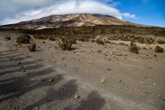Kilimanjaro climb, Lemosho Route (6-day) - Day 3: Lava Tower and the descent to Barranco