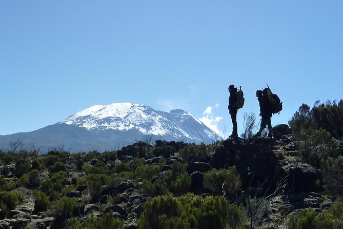 Kilimanjaro Climb • Machame Route ~ 10 Day - Day 9: Millennium Camp to the gate