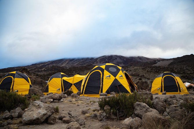 Kilimanjaro climb, Machame Route (7-day) - Day 1: A useful reset before the mountain
