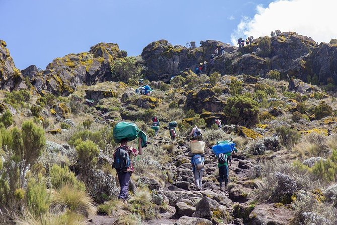 Kilimanjaro Climb Marangu Route 6 days - Day 3: Mawenzi Ridge and the extra acclimatization time