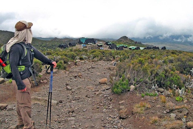 Kilimanjaro Climb Marangu Route 6 days - Day 2: Heath country and the first view of Kibo