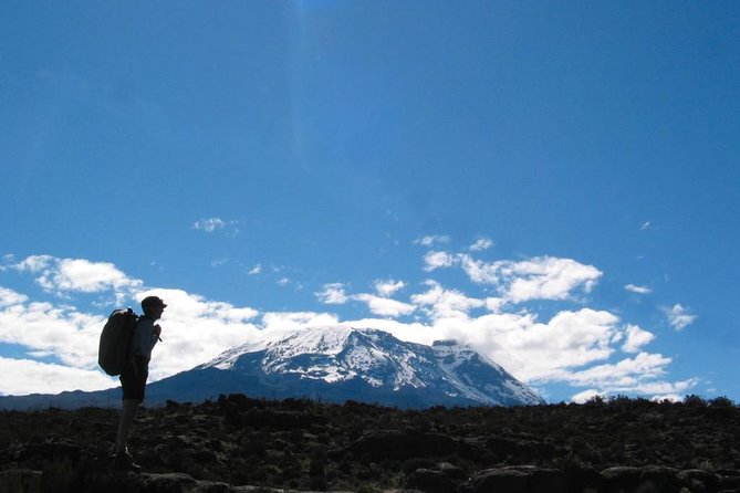Kilimanjaro Climb • Marangu Route ~ 9 Day - Why the Marangu Route works well for a nine-day climb
