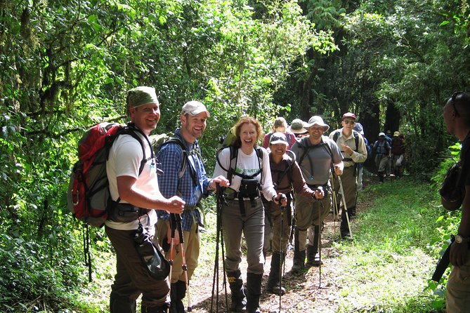 Kilimanjaro Climb • Marangu Route ~ 9 Day - Day 4: Heath and moorland, then Horombo Hut