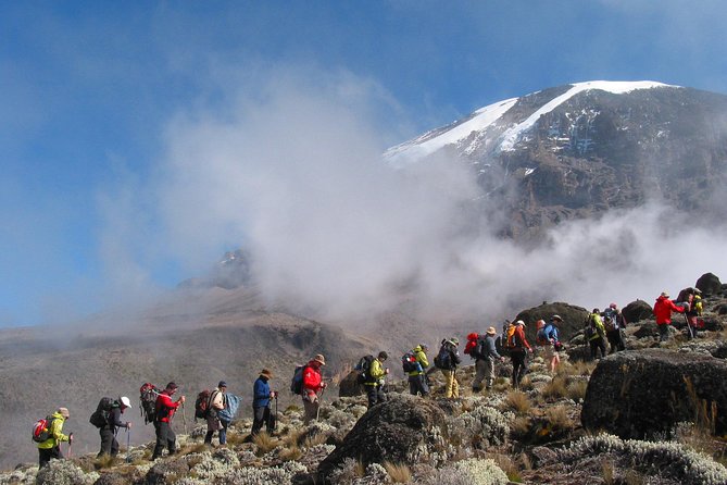 Kilimanjaro Climb • Marangu Route ~ 9 Day - Day 6: Across the Kibo Saddle to Kibo Hut