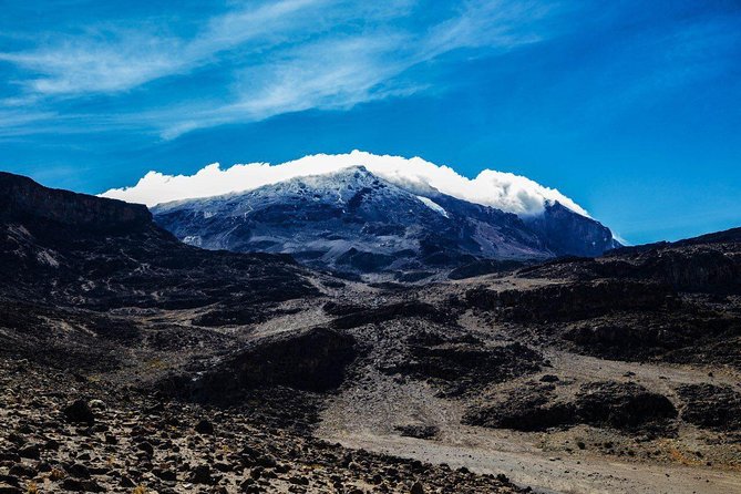 Kilimanjaro climb, Northern Circuit route (8-day) - Day 2: Londorossi Gate to Shira 1
