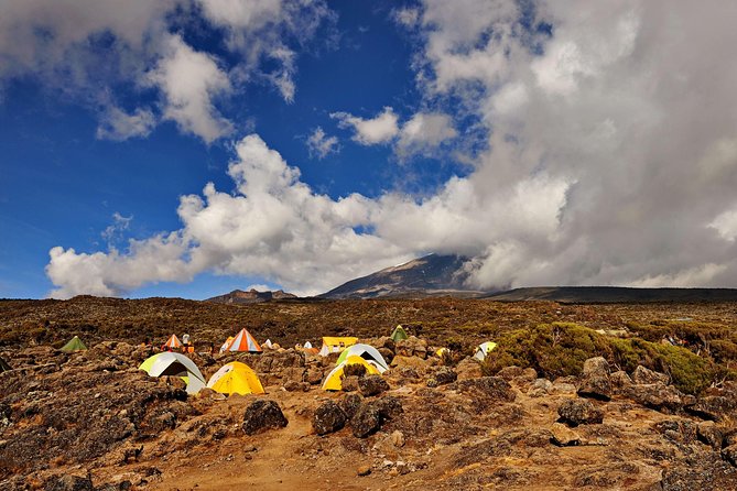 Kilimanjaro climb, Rongai Route (6-day) - What $3,064 buys you in Tanzania