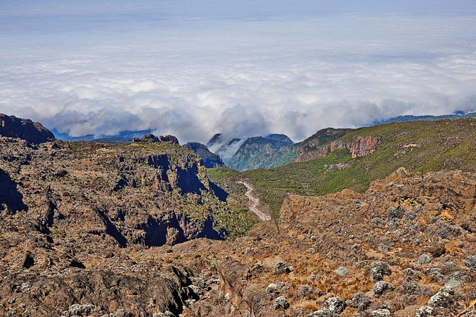 Kilimanjaro climb, Rongai Route (6-day) - Day 1: Arrival, hotel rest, and a useful briefing