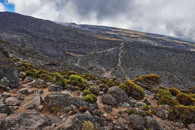 Kilimanjaro climb, Rongai Route (7-day) - Day 2: Nalemuru Gate to Simba Camp