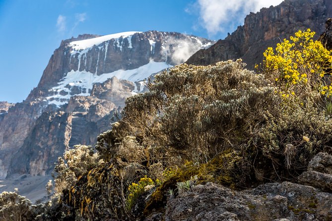Kilimanjaro climb, Rongai Route (7-day) - Day 3: Second Cave and the first acclimatization hike