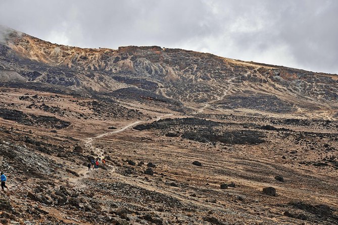 Kilimanjaro climb, Rongai Route (7-day) - Arrival in Moshi and the first night