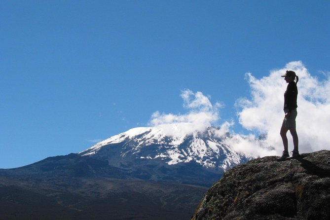 Kilimanjaro Climb & Safari - Lemosho Route - 13 Day - Days 5 and 6: Shira, Moir Camp, and Lava Tower