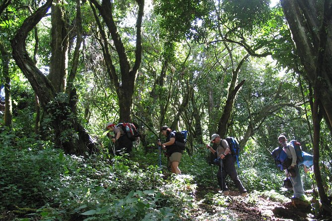 Kilimanjaro Climb & Safari - Lemosho Route - 13 Day - Day 9: Uhuru Peak and the hardest hours