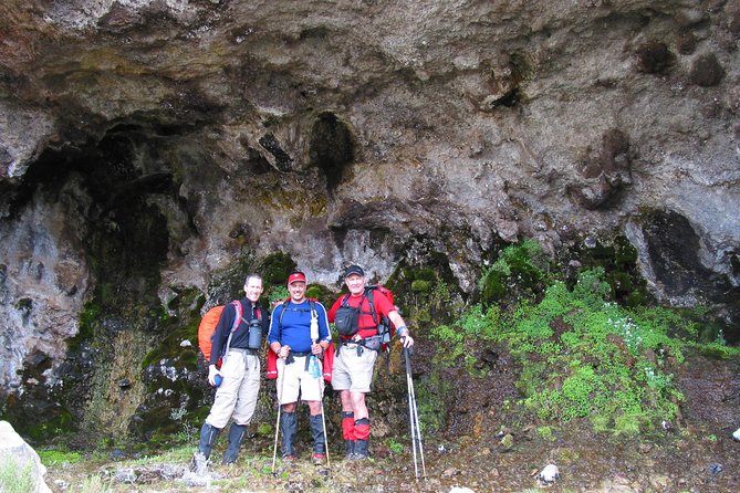 Kilimanjaro Climb & Safari - Lemosho Route - 13 Day - Days 10 and 11: a long descent and a proper celebration