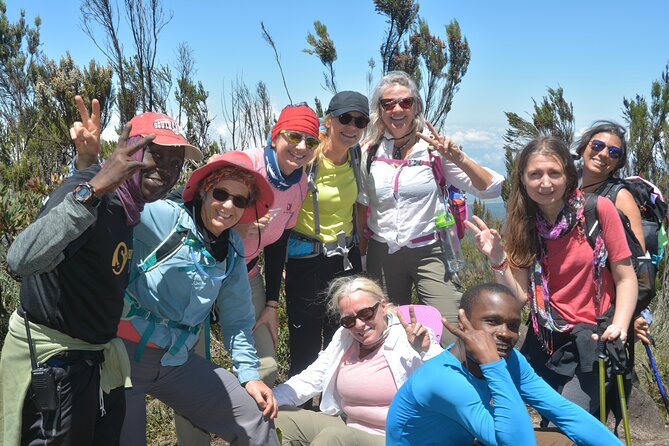 Kilimanjaro Climb Via Machame Route - Day 3: Lava Tower, the Senecio Forest, and Barranco