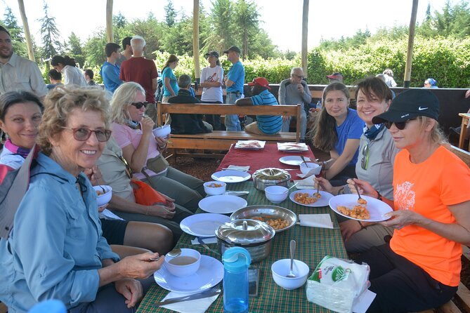 Kilimanjaro Climb Via Machame Route - Day 2: Shira Plateau and open moorland