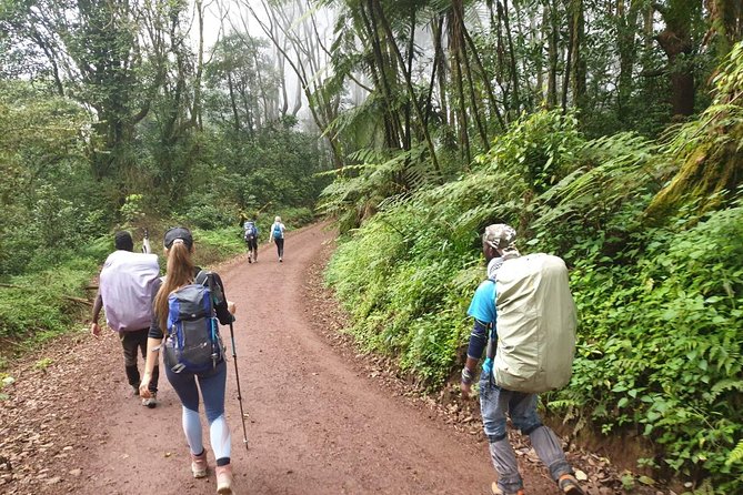 Kilimanjaro Climbing 5 days Marangu route - Food, water, porters, and hut life