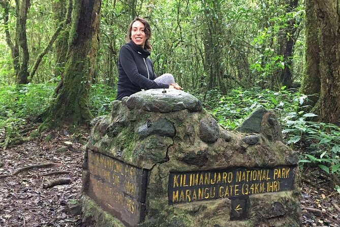 Kilimanjaro Day Hike - From Moshi to Marangu Gate at 1,860 meters
