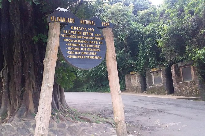 Kilimanjaro Day Hike - Picnic lunch, water, and the backpack issue