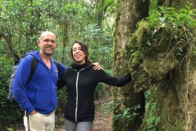 Kilimanjaro Day Hike - The return walk and the seven to eight hour schedule