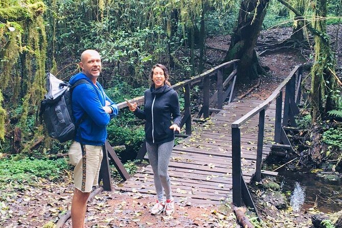 Kilimanjaro Day Hike - The rainforest section and its wildlife