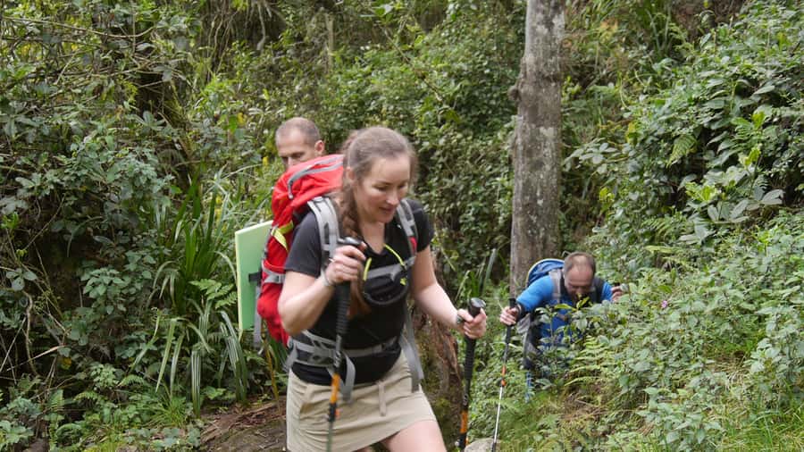 Kilimanjaro: Day trip -hike to Mandara Hut Kilimanjaro 2700m - What this Kilimanjaro day hike actually offers