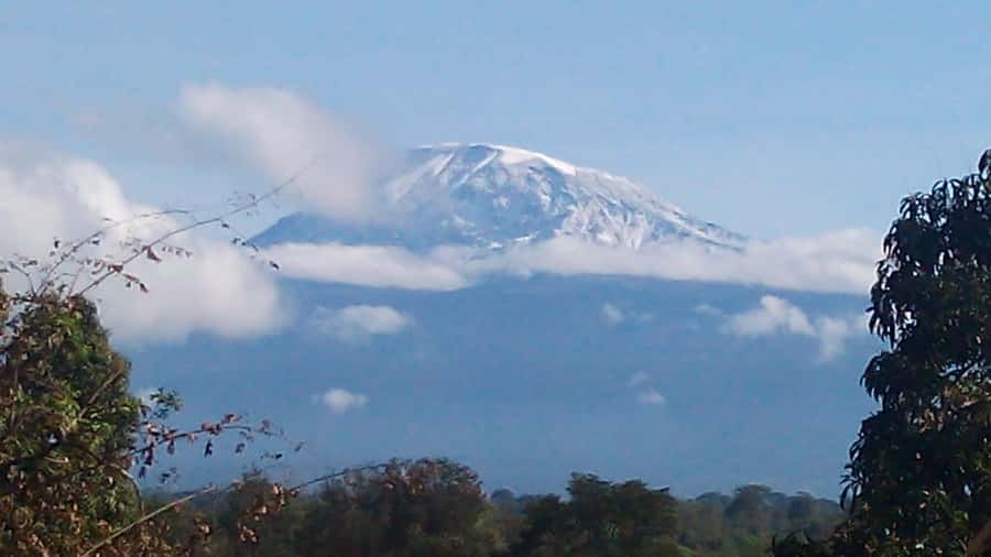 Kilimanjaro: Day trip -hike to Mandara Hut Kilimanjaro 2700m - The rainforest section sets the tone